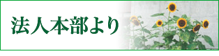 法人本部より